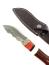 Ловен нож от дамаска стомана с дръжка от сандалово дърво и цветен Кориан 