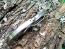 Spyderco  Harpy /ОЕМ/ метален сгъваем нож с назъбено острие