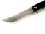 Джобен нож светкавично отваряне CH35111 G10 Flipper Folding Pocket Knife D2