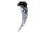 Нож Wolf Вълк Karambit, нож с фиксирано острие незаточен за колекция CS-GO